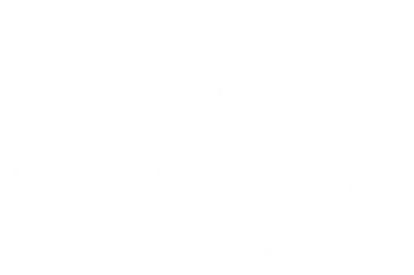 Award Swedish International Film Festival 2025